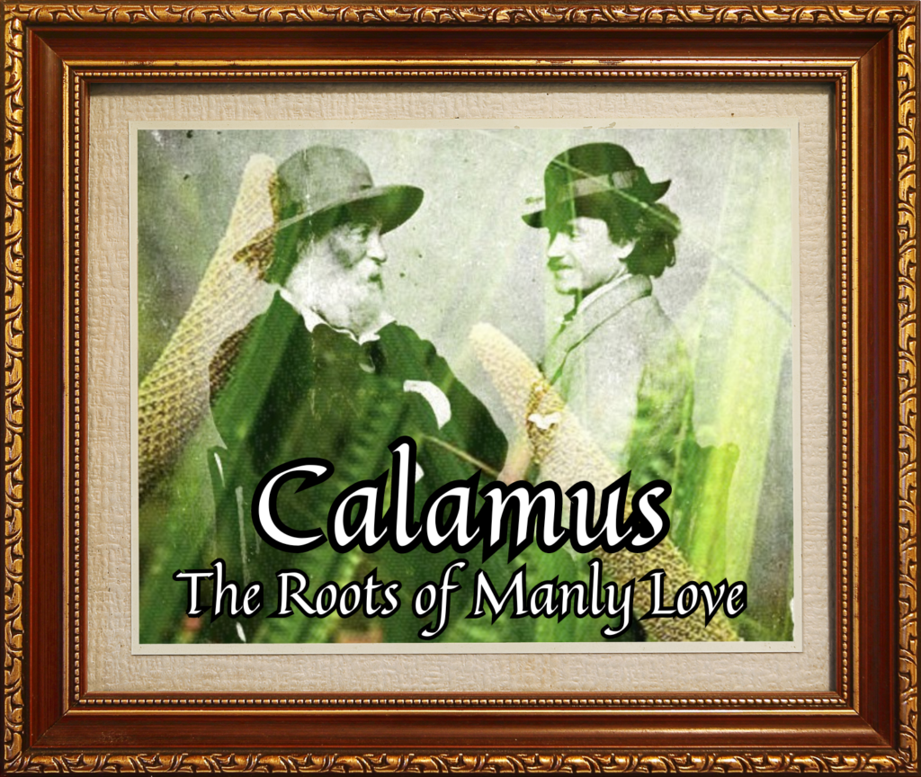 Calamus: The Roots of Manly Love